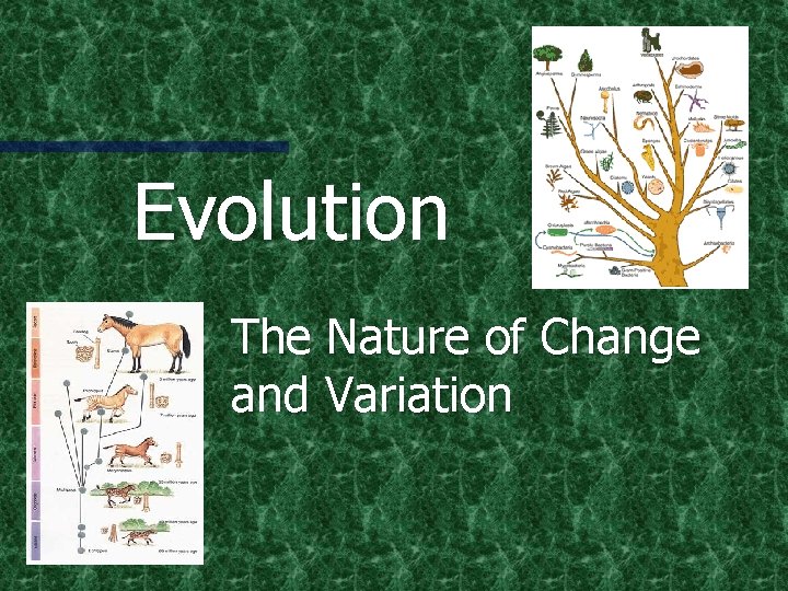 Evolution The Nature of Change and Variation Evolution The Nature of Change and Variation