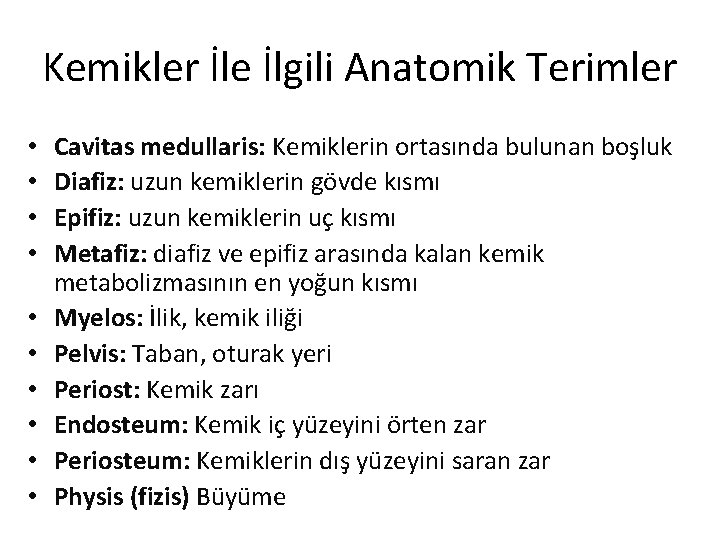 Kemikler İle İlgili Anatomik Terimler • • • Cavitas medullaris: Kemiklerin ortasında bulunan boşluk