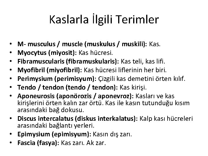 Kaslarla İlgili Terimler M- musculus / muscle (muskulus / muskili): Kas. Myocytus (miyosit): Kas