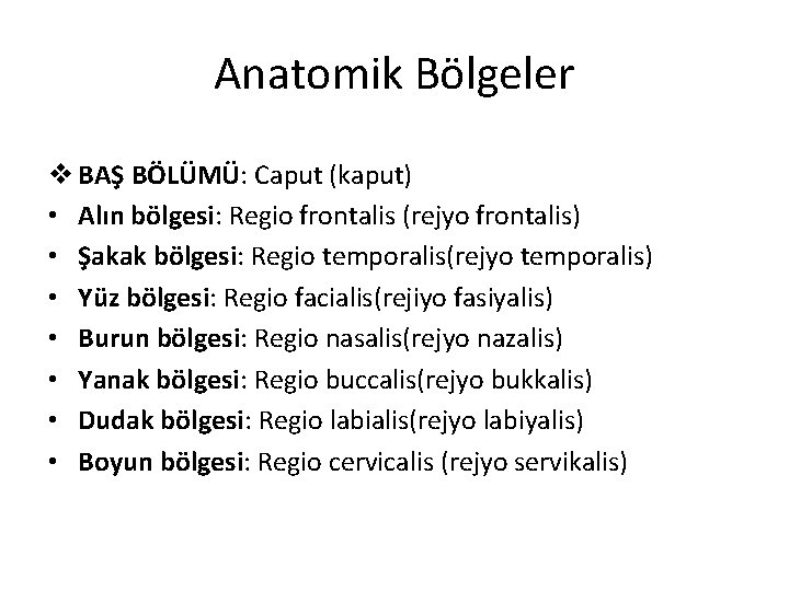 Anatomik Bölgeler v BAŞ BÖLÜMÜ: Caput (kaput) • Alın bölgesi: Regio frontalis (rejyo frontalis)