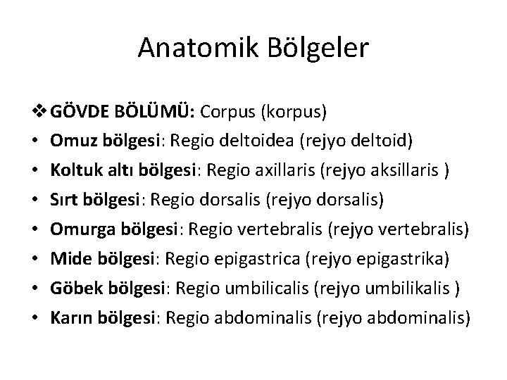 Anatomik Bölgeler v GÖVDE BÖLÜMÜ: Corpus (korpus) • Omuz bölgesi: Regio deltoidea (rejyo deltoid)