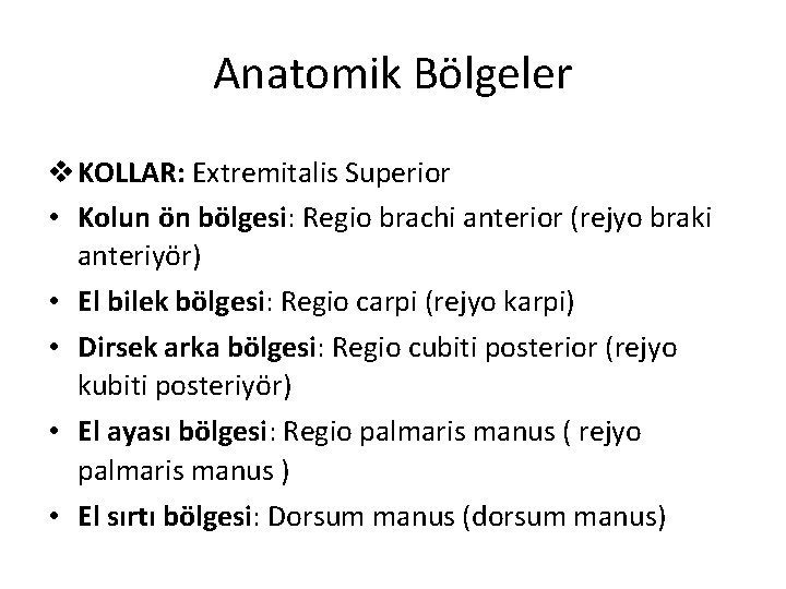 Anatomik Bölgeler v KOLLAR: Extremitalis Superior • Kolun ön bölgesi: Regio brachi anterior (rejyo