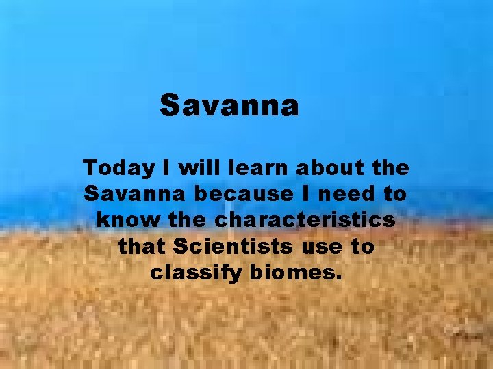 Savanna Today I will learn about the Savanna because I need to know the