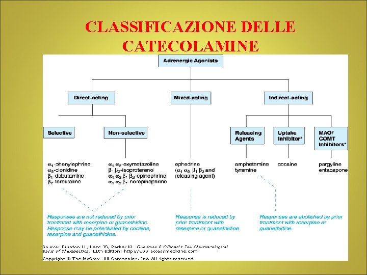 CLASSIFICAZIONE DELLE CATECOLAMINE 