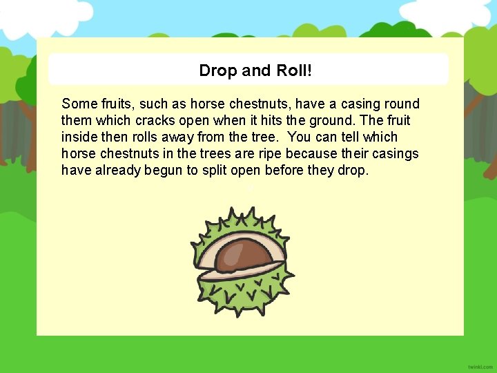 Drop and Roll! Some fruits, such as horse chestnuts, have a casing round them