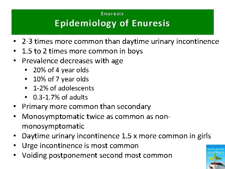 Enuresis Epidemiology of Enuresis • 2 -3 times more common than daytime urinary incontinence