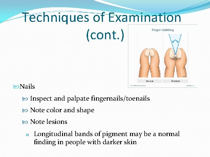 Techniques of Examination (cont. ) Nails Inspect and palpate fingernails/toenails Note color and shape