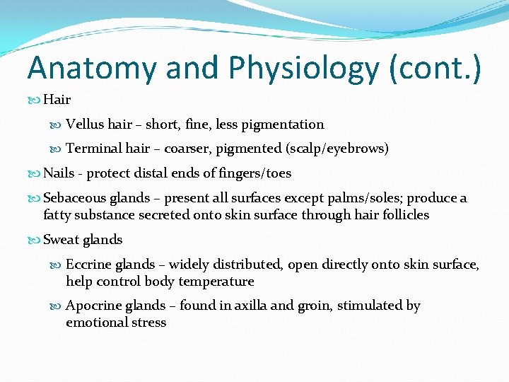 Anatomy and Physiology (cont. ) Hair Vellus hair – short, fine, less pigmentation Terminal