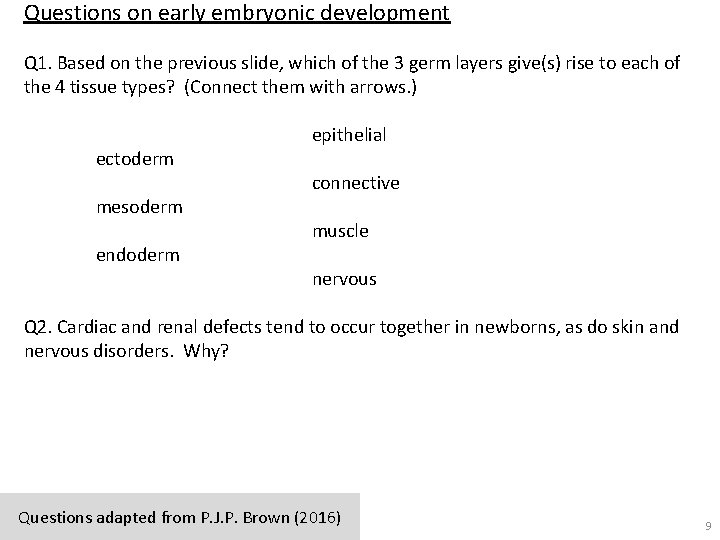 Questions on early embryonic development Q 1. Based on the previous slide, which of