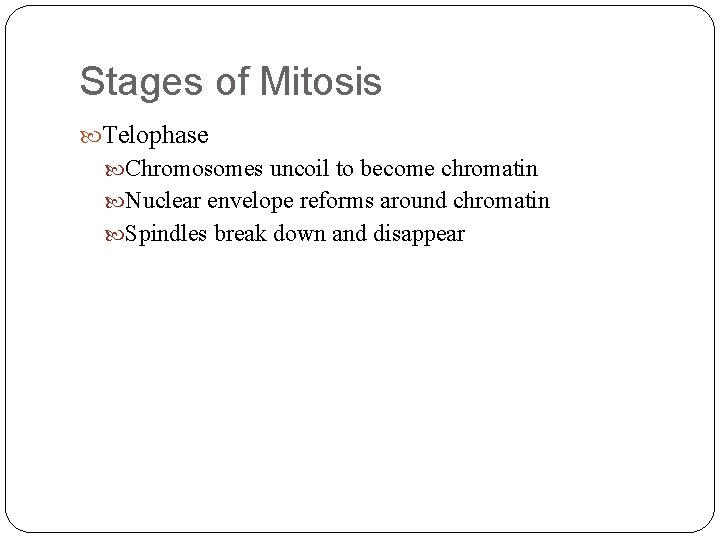 Stages of Mitosis Telophase Chromosomes uncoil to become chromatin Nuclear envelope reforms around chromatin