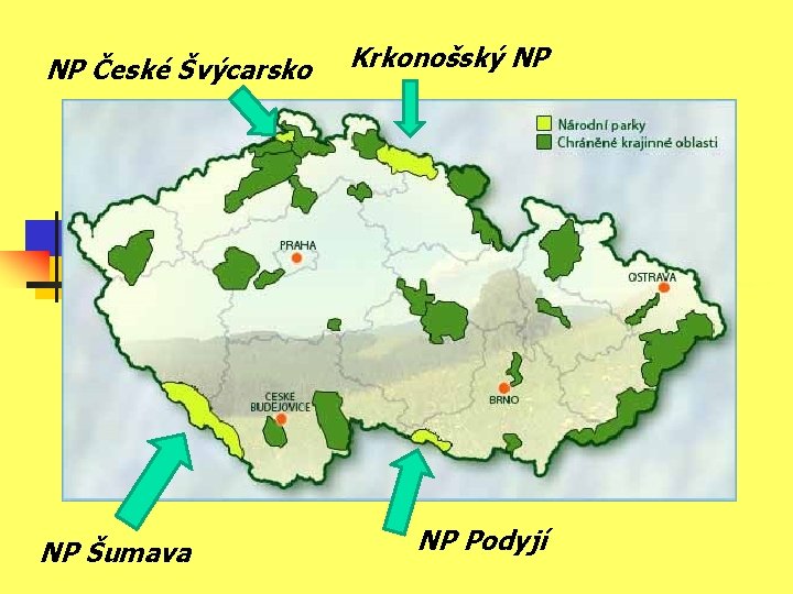 NP České Švýcarsko NP Šumava Krkonošský NP NP Podyjí 