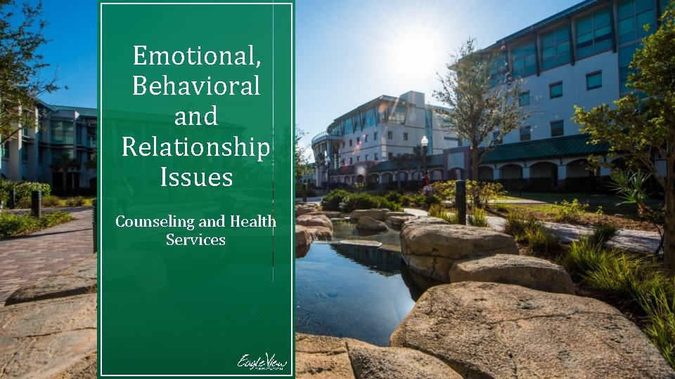 Emotional, Behavioral and Relationship Issues Counseling and Health Services 