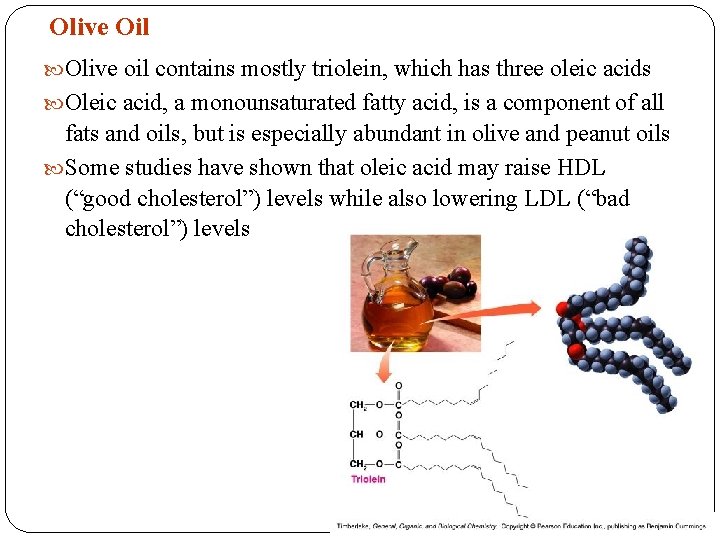 Olive Oil Olive oil contains mostly triolein, which has three oleic acids Oleic acid, Olive Oil Olive oil contains mostly triolein, which has three oleic acids Oleic acid,