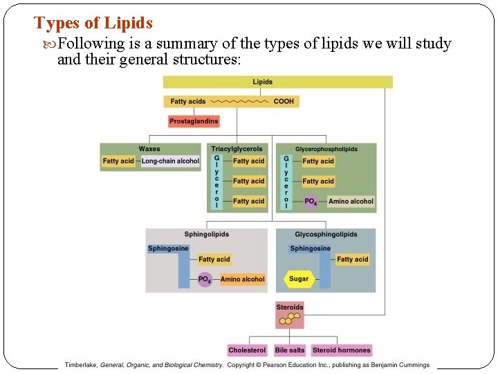 Types of Lipids Following is a summary of the types of lipids we will Types of Lipids Following is a summary of the types of lipids we will