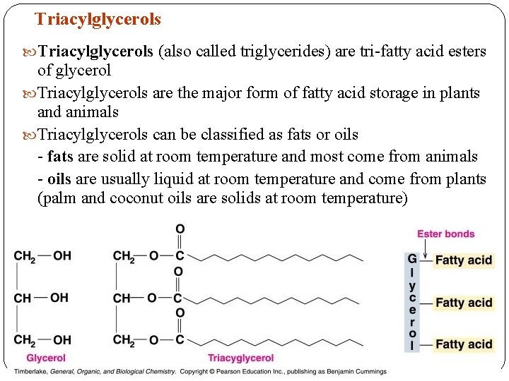Triacylglycerols (also called triglycerides) are tri-fatty acid esters of glycerol Triacylglycerols are the major Triacylglycerols (also called triglycerides) are tri-fatty acid esters of glycerol Triacylglycerols are the major