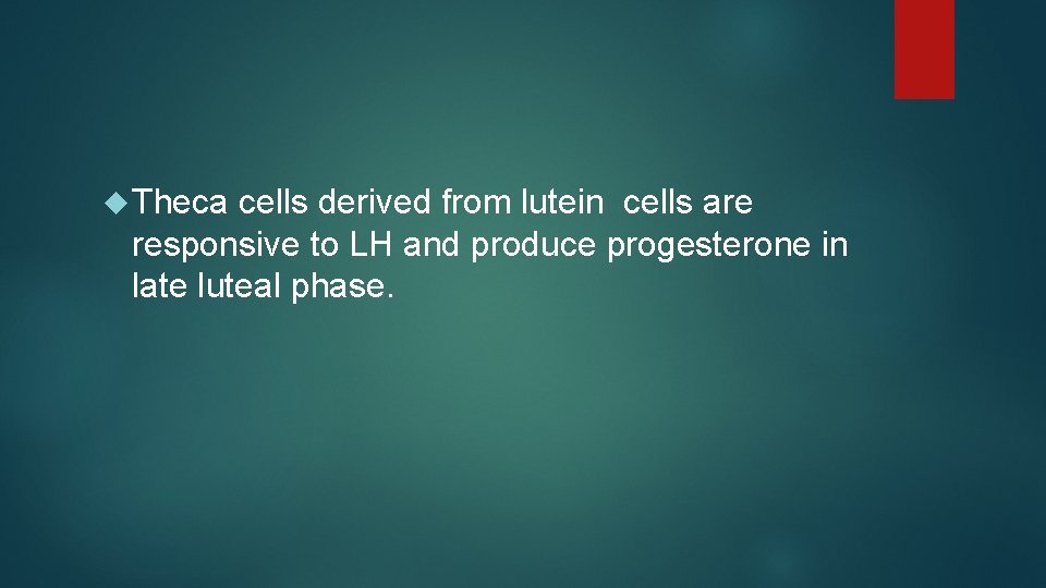 Theca cells derived from lutein cells are responsive to LH and produce progesterone Theca cells derived from lutein cells are responsive to LH and produce progesterone