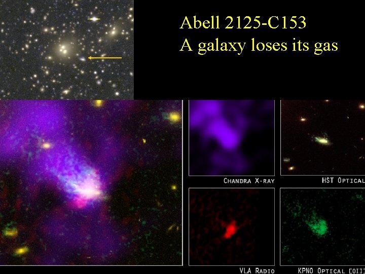 Abell 2125 -C 153 A galaxy loses its gas 