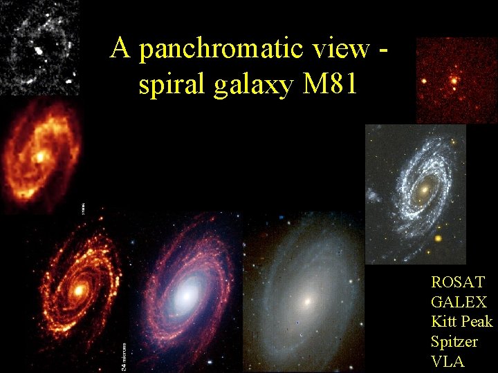 A panchromatic view spiral galaxy M 81 ROSAT GALEX Kitt Peak Spitzer VLA 