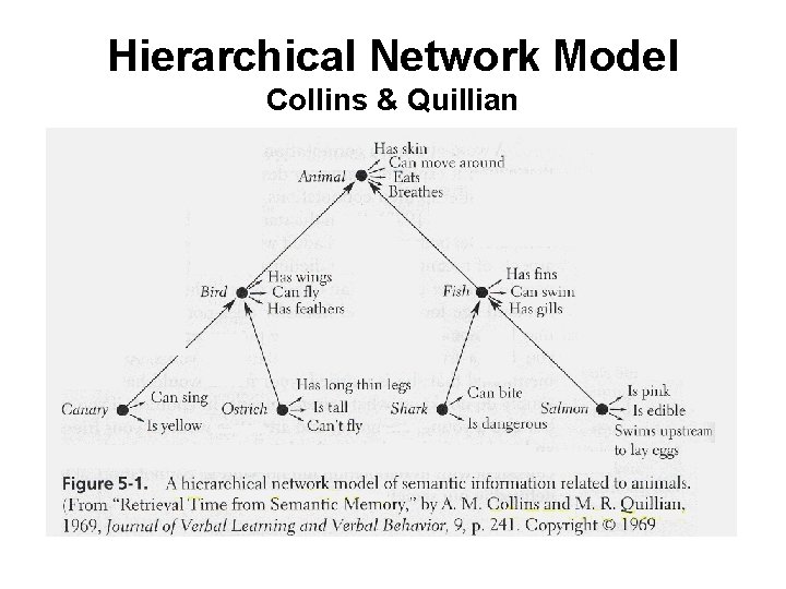 Hierarchical Network Model Collins & Quillian 