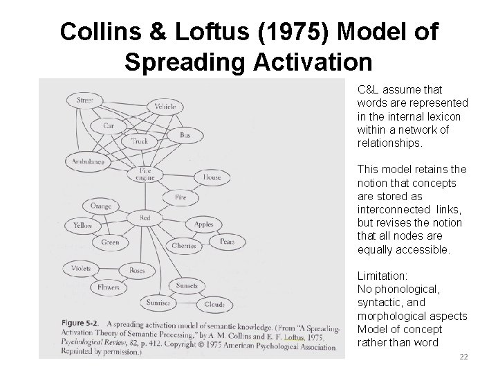 Collins & Loftus (1975) Model of Spreading Activation C&L assume that words are represented