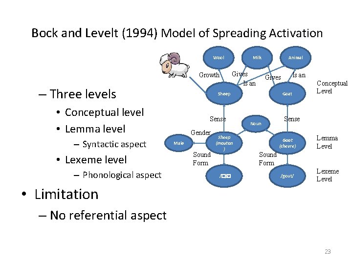 Bock and Levelt (1994) Model of Spreading Activation Wool Growth – Three levels •