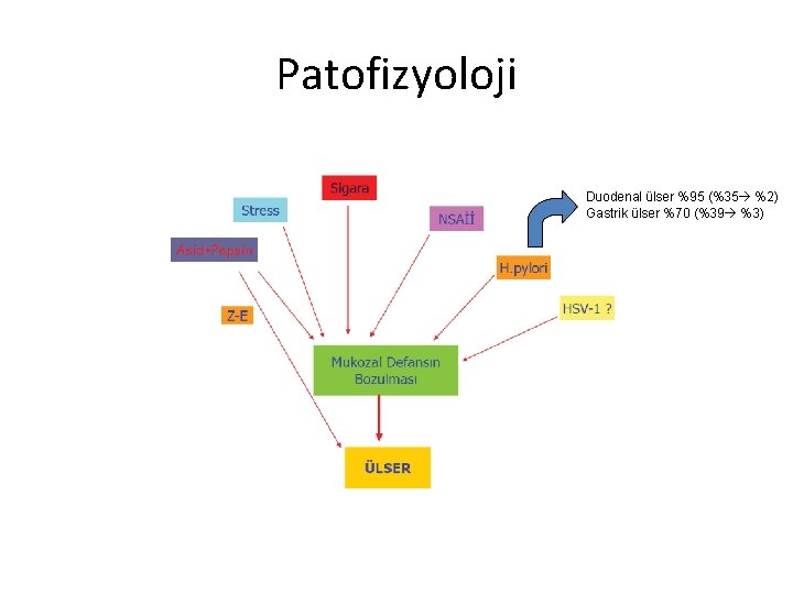 Patofizyoloji Duodenal ülser %95 (%35 %2) Gastrik ülser %70 (%39 %3) 