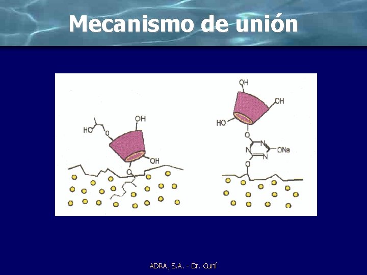Mecanismo de unión ADRA, S. A. - Dr. Cuní 