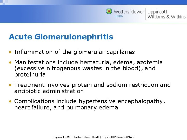 Acute Glomerulonephritis • Inflammation of the glomerular capillaries • Manifestations include hematuria, edema, azotemia