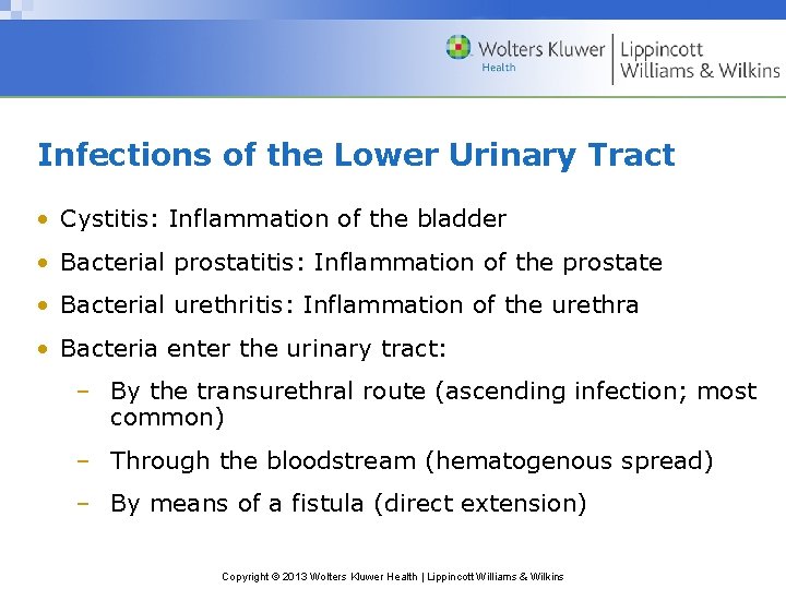 Infections of the Lower Urinary Tract • Cystitis: Inflammation of the bladder • Bacterial