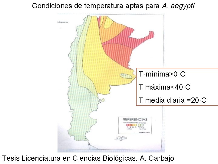 Condiciones de temperatura aptas para A. aegypti T·mínima>0·C T máxima<40·C T media diaria =20·C