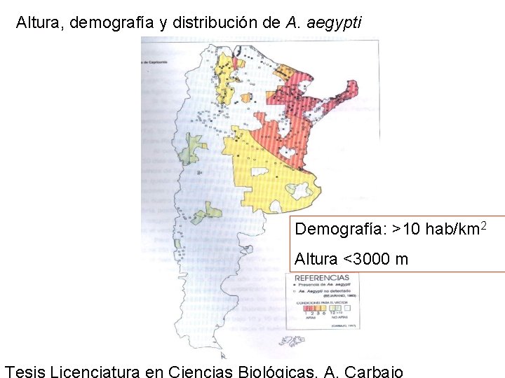 Altura, demografía y distribución de A. aegypti Demografía: >10 hab/km 2 Altura <3000 m