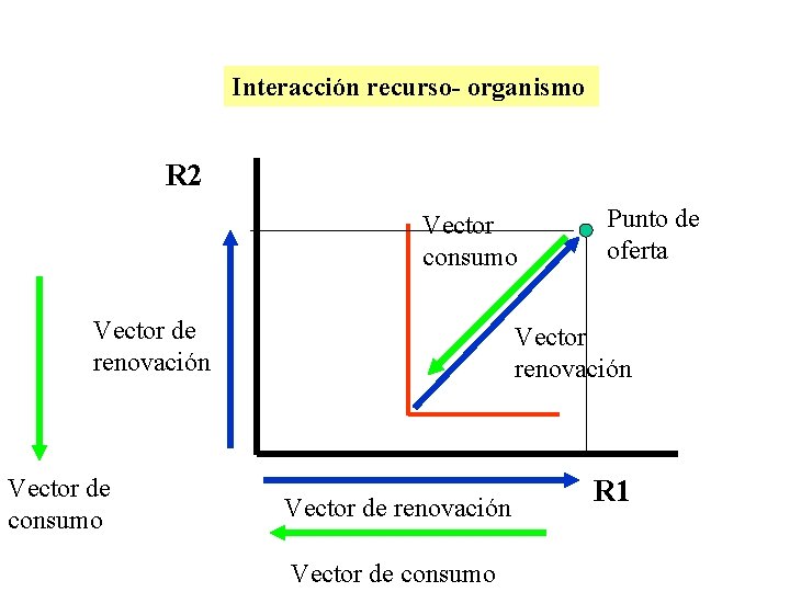 Interacción recurso- organismo R 2 Vector consumo Vector de renovación Vector de consumo Punto