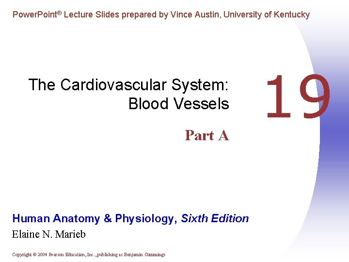 Power. Point® Lecture Slides prepared by Vince Austin, University of Kentucky The Cardiovascular System: