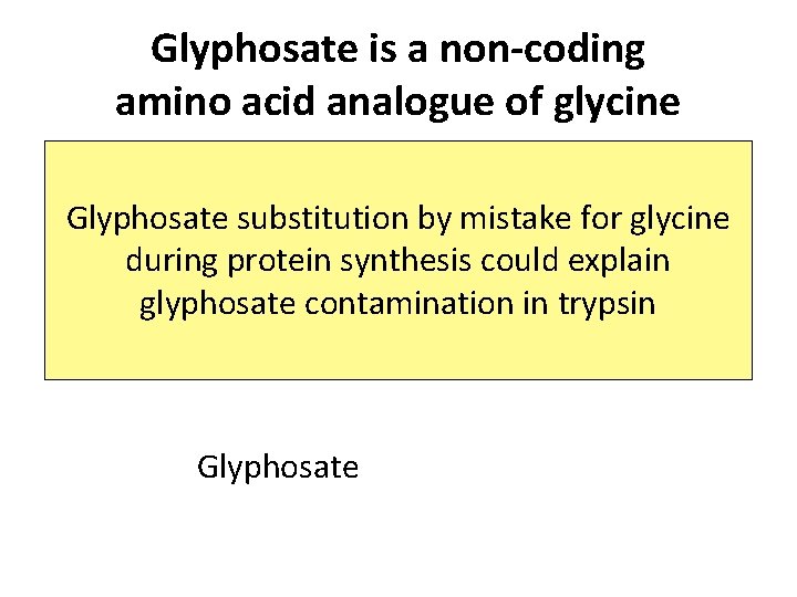 Glyphosate is a non-coding amino acid analogue of glycine Glyphosate substitution by mistake for