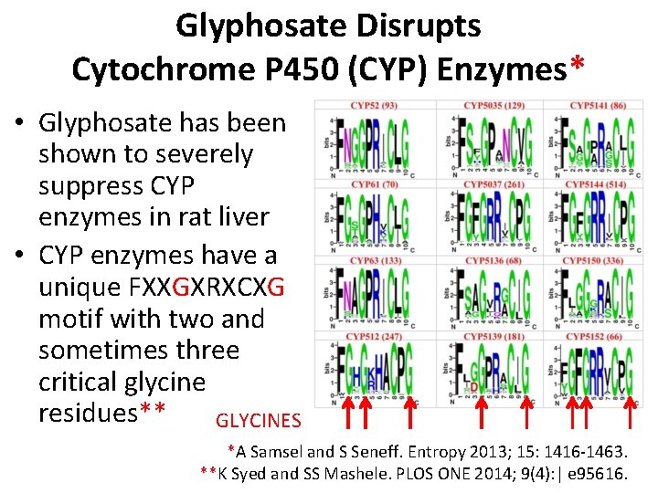 Glyphosate Disrupts Cytochrome P 450 (CYP) Enzymes* • Glyphosate has been shown to severely