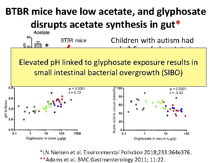 BTBR mice have low acetate, and glyphosate disrupts acetate synthesis in gut* Children with