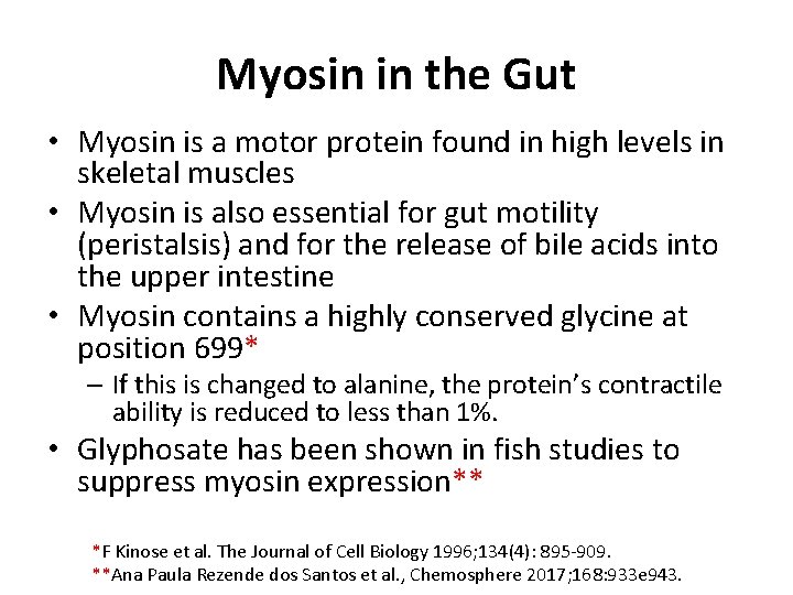 Myosin in the Gut • Myosin is a motor protein found in high levels
