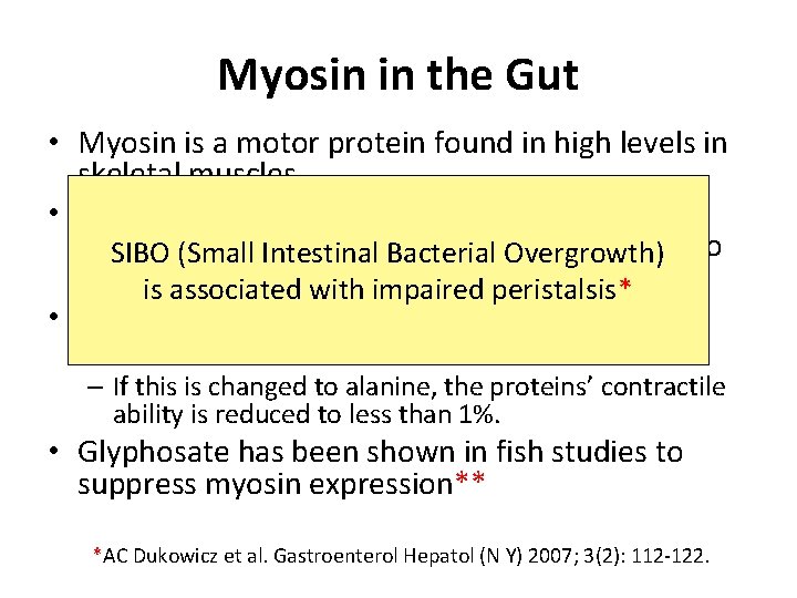 Myosin in the Gut • Myosin is a motor protein found in high levels