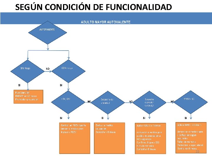 SEGÚN CONDICIÓN DE FUNCIONALIDAD 22 