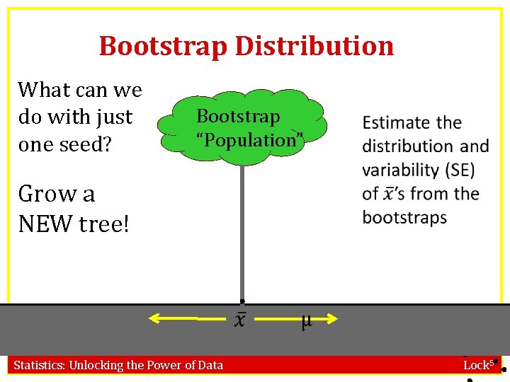 Bootstrap Distribution What can we do with just one seed? Bootstrap “Population” Grow a