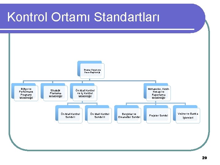 Kontrol Ortamı Standartları Strateji Geliştirme Daire Başkanlığı Bütçe ve Performans Programı Müdürlüğü Stratejik Planlama