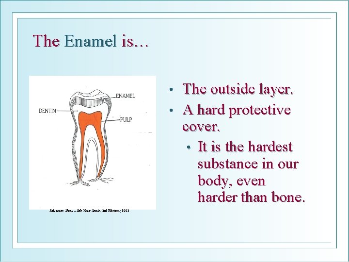 The Enamel is… The outside layer. • A hard protective cover. • It is