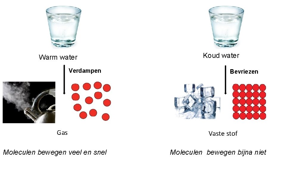 Warm water Verdampen Gas Moleculen bewegen veel en snel Koud water Bevriezen Vaste stof