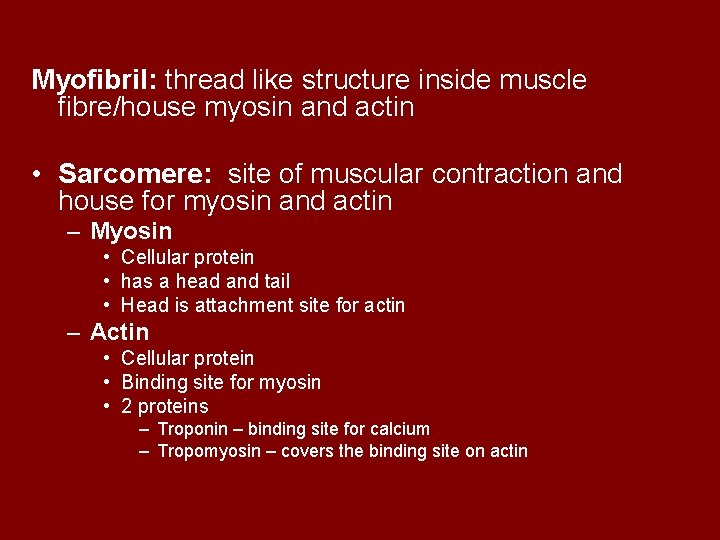 Myofibril: thread like structure inside muscle fibre/house myosin and actin • Sarcomere: site of