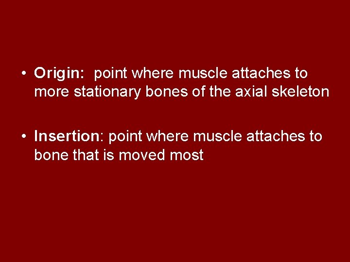  • Origin: point where muscle attaches to more stationary bones of the axial