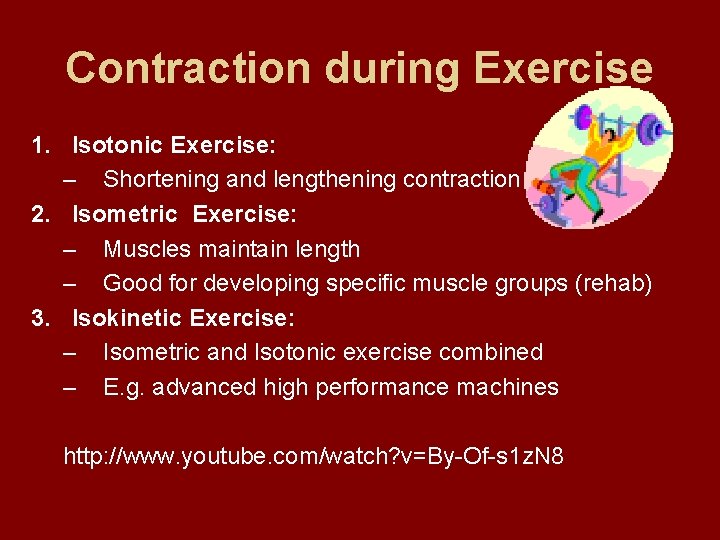 Contraction during Exercise 1. Isotonic Exercise: – Shortening and lengthening contraction 2. Isometric Exercise: