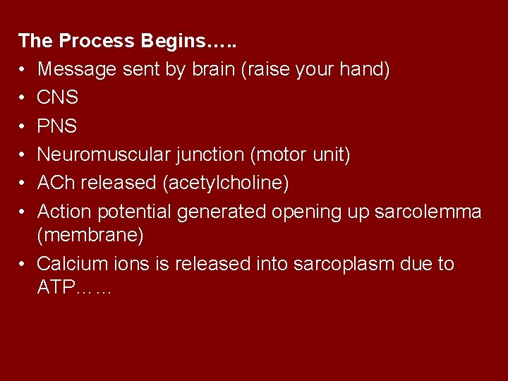 The Process Begins…. . • Message sent by brain (raise your hand) • CNS