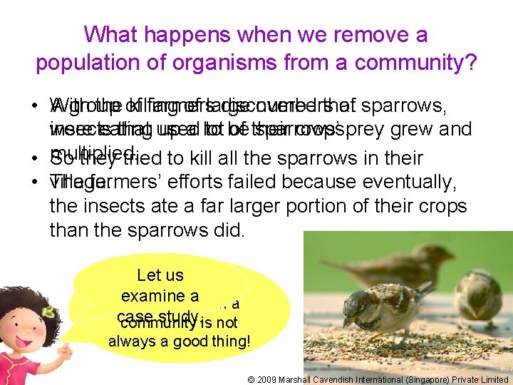 What happens when we remove a population of organisms from a community? • A