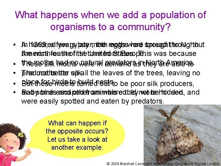 What happens when we add a population of organisms to a community? • In