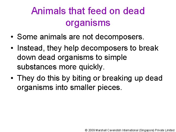 Animals that feed on dead organisms • Some animals are not decomposers. • Instead,